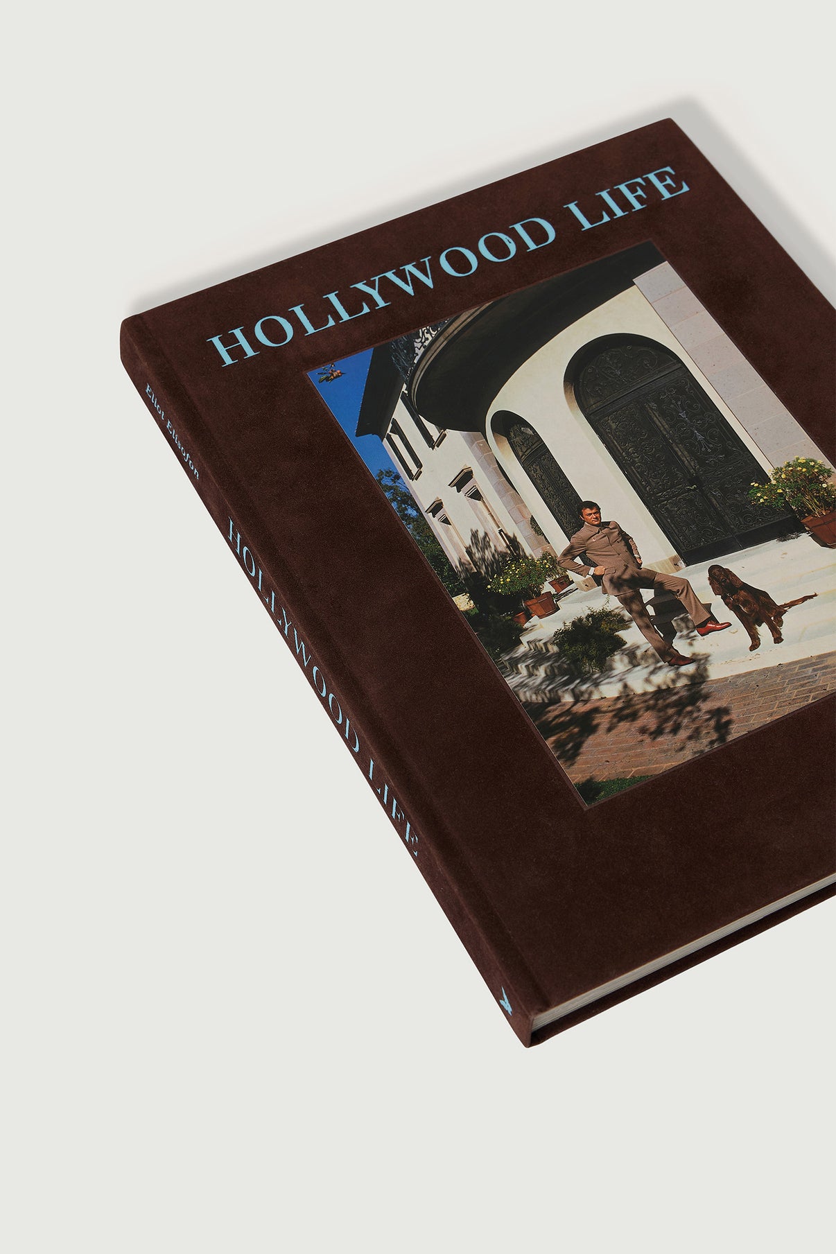 Livre "Hollywood Life" - Femme vue 2