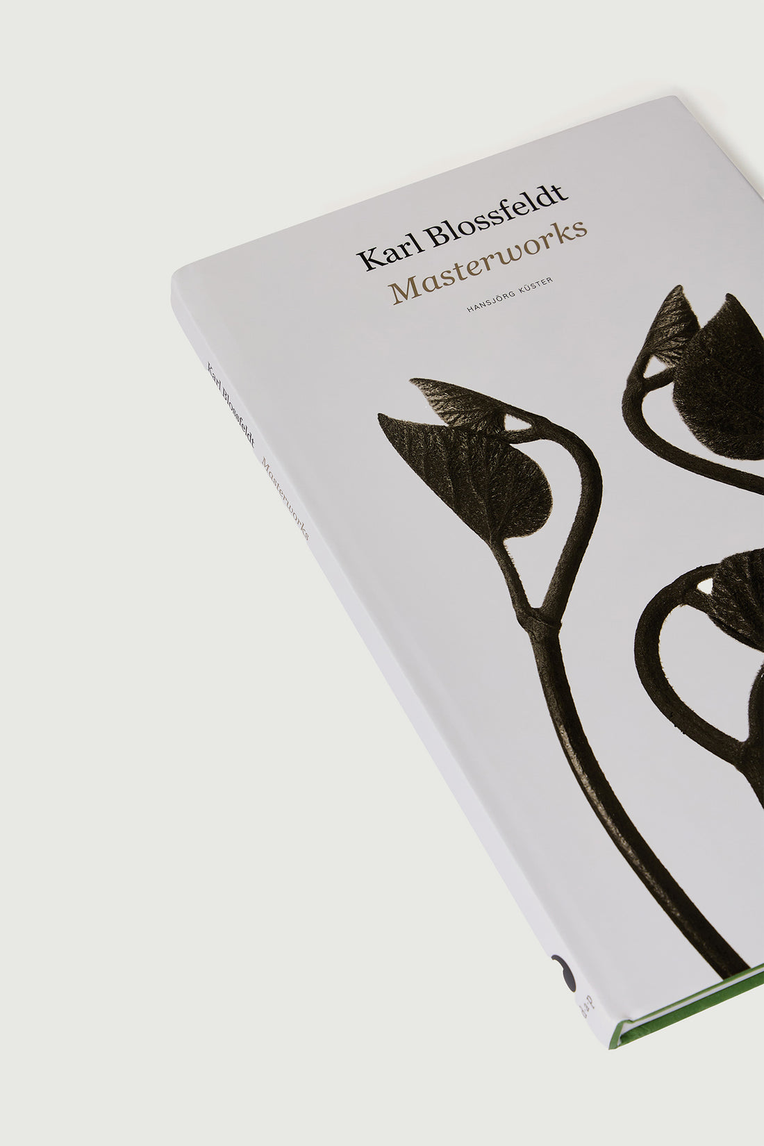 Livre "Karl Blossfeldt : Masterworks" - Femme