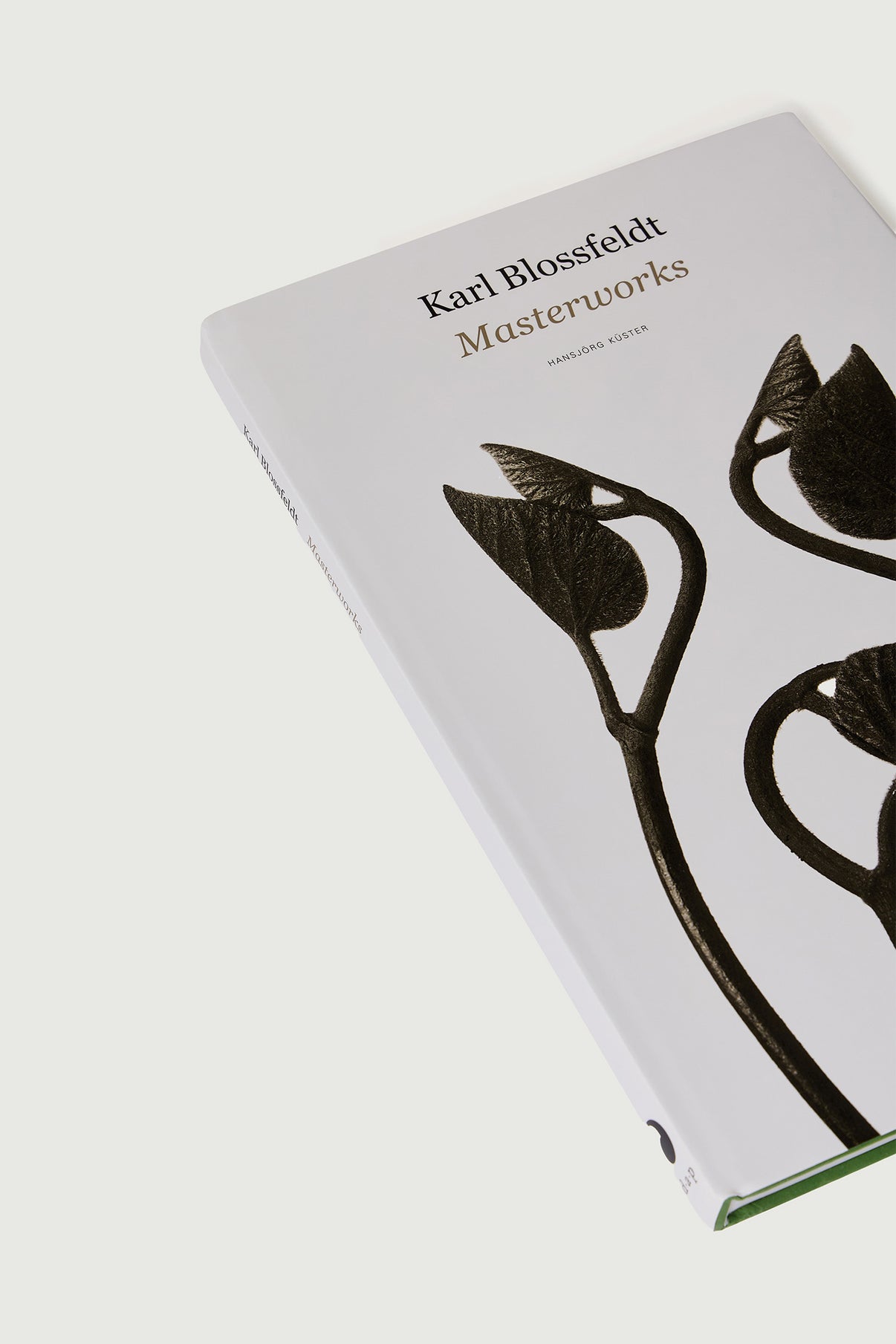 Livre "Karl Blossfeldt : Masterworks" - Femme vue 2